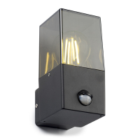 LED vägglampa E27 | Smokey | IP44 | 120 x 167mm | svart [123ink] 6152-PIR LDR08513
