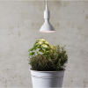 LED växtlampa E27 | PAR38 | röd | 16W [Star Trading] 357-36 361872 - 2