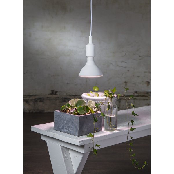 LED växtlampa E27 | PAR38 | röd | 16W [Star Trading] 357-36 361872 - 3