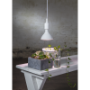 LED växtlampa E27 | PAR38 | röd | 16W [Star Trading] 357-36 361872 - 3