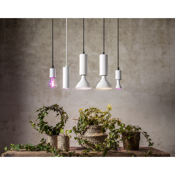 LED växtlampa E27 | PAR38 | röd | 16W [Star Trading] 357-36 361872 - 4
