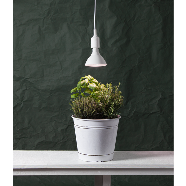 LED växtlampa E27 | PAR38 | röd | 16W [Star Trading] 357-36 361872 - 5