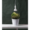 LED växtlampa E27 | PAR38 | röd | 16W [Star Trading] 357-36 361872 - 5
