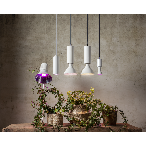 LED växtlampa E27 | PAR38 | vit | 16W [Star Trading] 357-35 361871 - 2