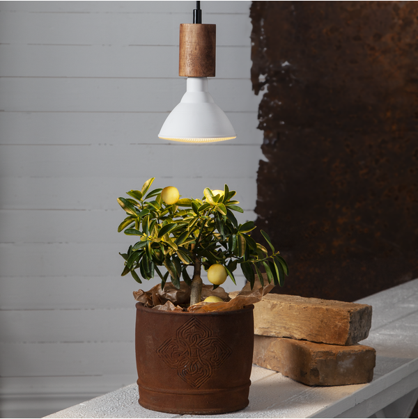 LED växtlampa E27 | PAR38 | vit | 16W [Star Trading] 357-35 361871 - 3