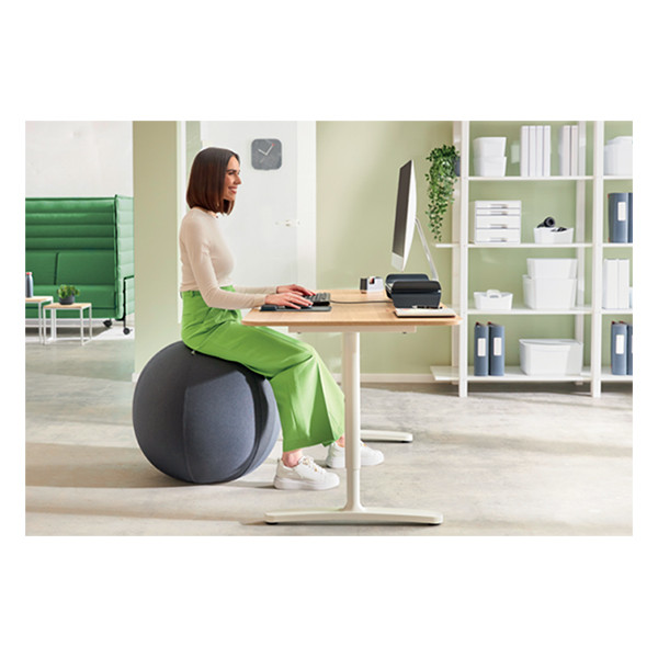 | Sittboll med stoppfunktion | Leitz Ergo | mörkgrå | 65 cm 227626 - 5