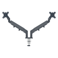 Monitorarm för 2 monitorer | Leitz Ergo | mörkgrå (med klämma) 226600