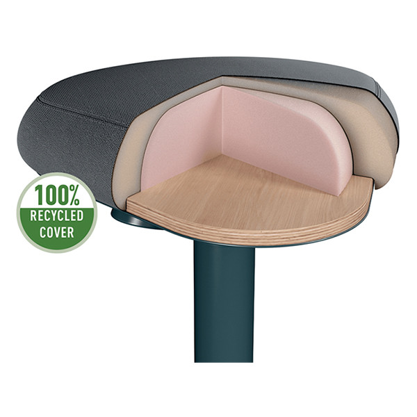 Sittpall med gasfjäder | Leitz Ergo | mörkgrå 202759 - 5