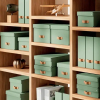 Tidskriftssamlare | Leitz Puro | grön | 2st SE001138 - 2