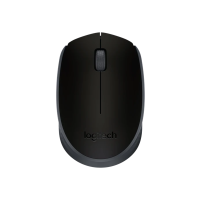 Datormus trådlös | Logitech M171 | svart 828110