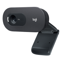 Webbkamera | Logitech C505 HD | svart 828117