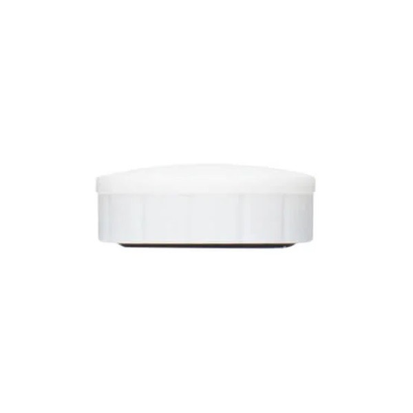 Magnet 20mm vit | Maul 10st 402066 - 7