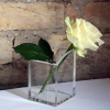 Pennställ transparent akryl | Maul 402220 - 3