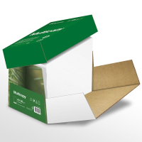 Kopieringspapper A4 90g | Multicopy Xpress | 2,500 ark [13kg] 502414