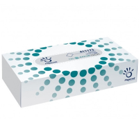 Näsduk 2-lag | 123ink | 100 ark