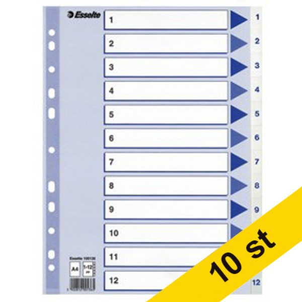 Pärmregister A4 | 1-12 | Esselte Non-Stop | polypropen 10st 360560 - 1