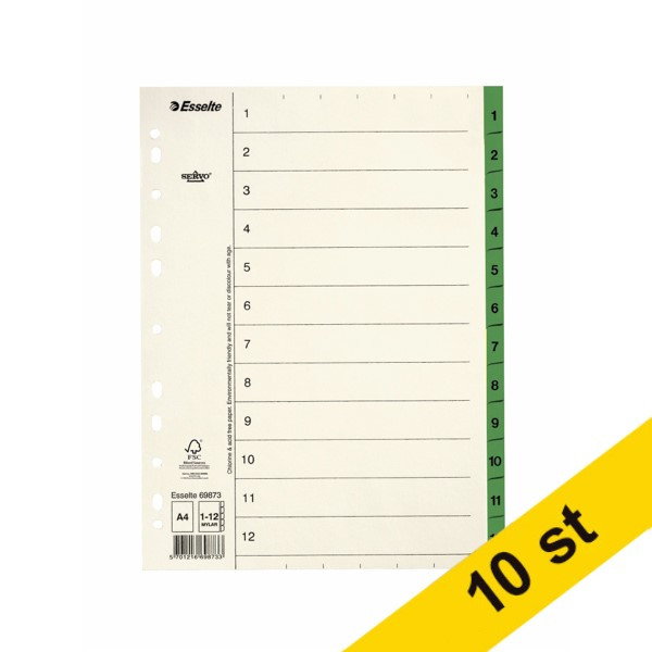Pärmregister A4 | 1-12 | Esselte Servo 10st⭐ 360500 - 1