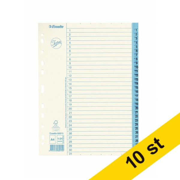 Pärmregister A4 | 1-31 | Esselte Jopa 10st 360557 - 1