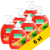 Handtvål 300ml | Palmolive Family Hygiene Plus 6st