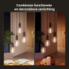 Smart lampa E27 dimbar | G95 Gold | 2100K | 7W (40W) [Philips Hue] LPH03642 - 4