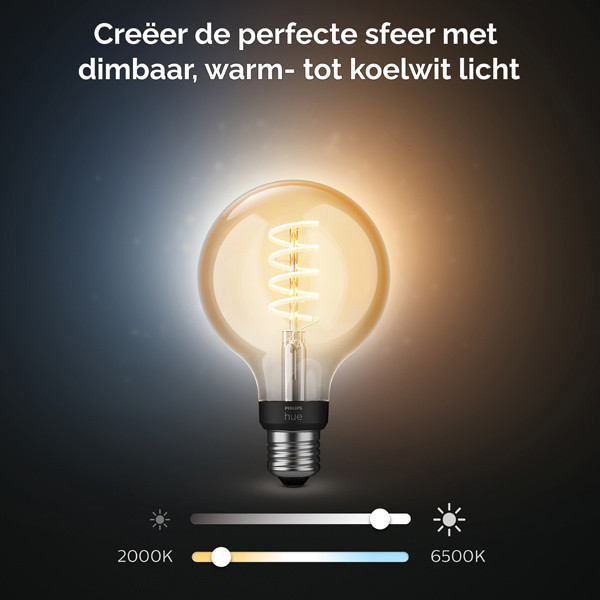Smart lampa E27 dimbar | G95 White | 2200-4500K | 7W (40W) [Philips Hue] LPH02737 - 4