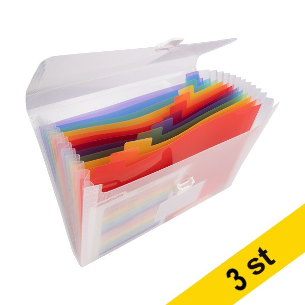 Projektmapp 13 fack | 123ink transparent | 3st⭐ 301311 - 1
