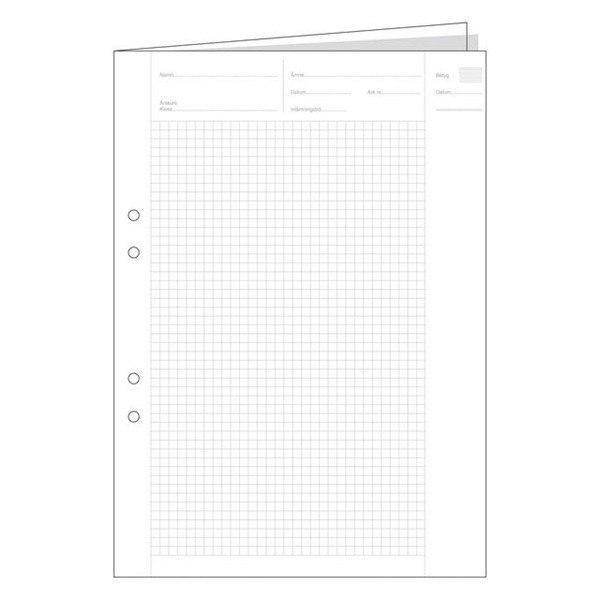 Provskrivningsblad A3 rutat | hålat | 5x5mm | 250 ark SE000425 - 1