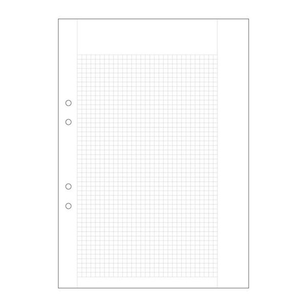 Provskrivningsblad A4 rutat | hålat | 5x5mm | 500 ark SE000440 - 1