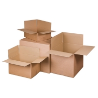 Raadhuis Fraktkartong 305 x 220 x 250mm | Raadhuis  | 10st RD-351127-10 209289