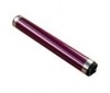 Ricoh 54469510 trumma (original) 074504 - 1