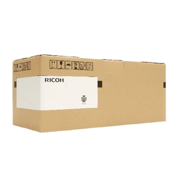 Ricoh D060K1000 maintenance kit (original) D060K1000 602480 - 1