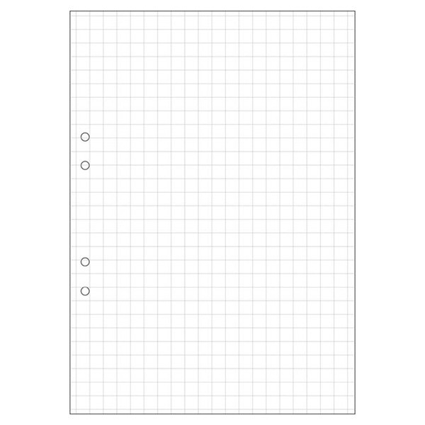 Skrivpapper A4 rutat | hålat | 10x10mm | 500 ark SE000505 - 1