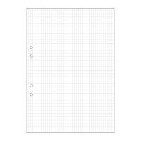 Skrivpapper A4 rutat | hålat | 5x8mm | 500 ark SE000490