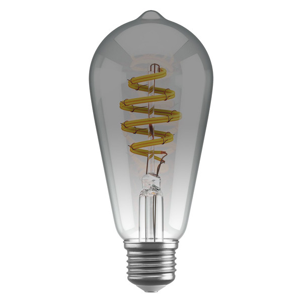 Smart lampa | E27 | ST64 | Smokey | 1800K-6500K | 5.5W | dimbar [Hombli] HB069 LHO00038 - 2