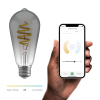 Smart lampa E27 dimbar | ST64 | Smokey | 1800K-6500K | 5.5W [Hombli] LHO00038 - 3