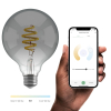 Smart lampa E27 dimbar | Smokey | 1800K-2700K | 5.5W [Hombli] LHO00040 - 3