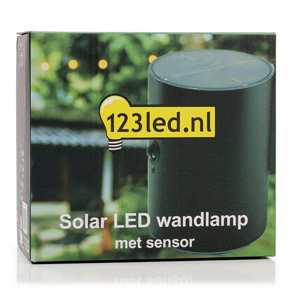Solcell vägglampa | Grantham Up & Down | IP54 | sensor | svart [123ink] LDR08531 - 6
