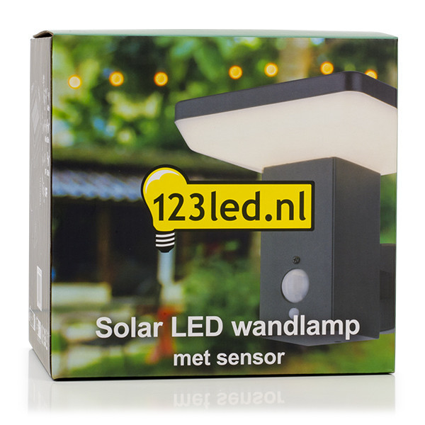 Solcell vägglampa | Primrose Hill | IP54 | sensor | svart [123ink] LDR08545 - 5
