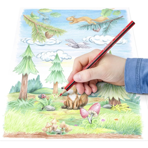Färgpennor | Staedtler Noris | 12st 209572 - 5