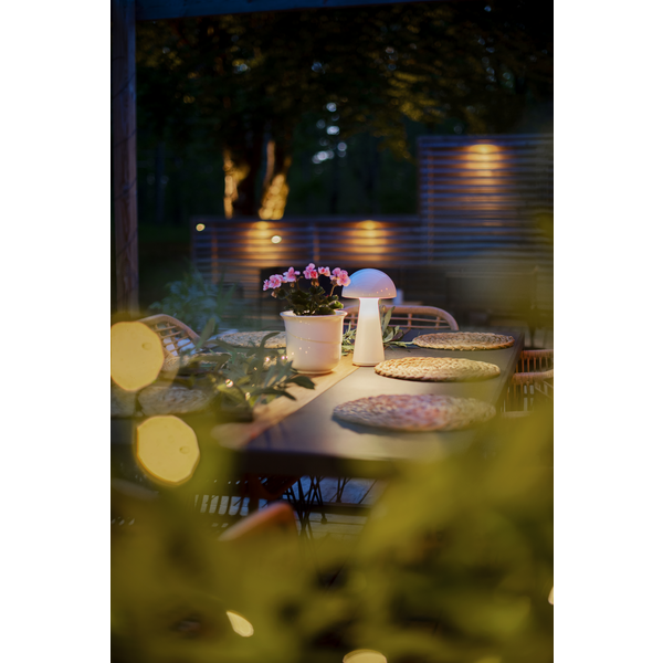 Bordslampa svamp | vit [Star Trading] 501533 - 3