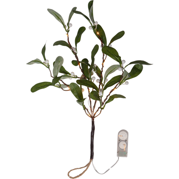 Dekorationskvist Mistel | 20cm [Star Trading] 361694 - 1