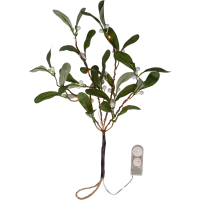 Dekorationskvist Mistel | 20cm [Star Trading] 361694