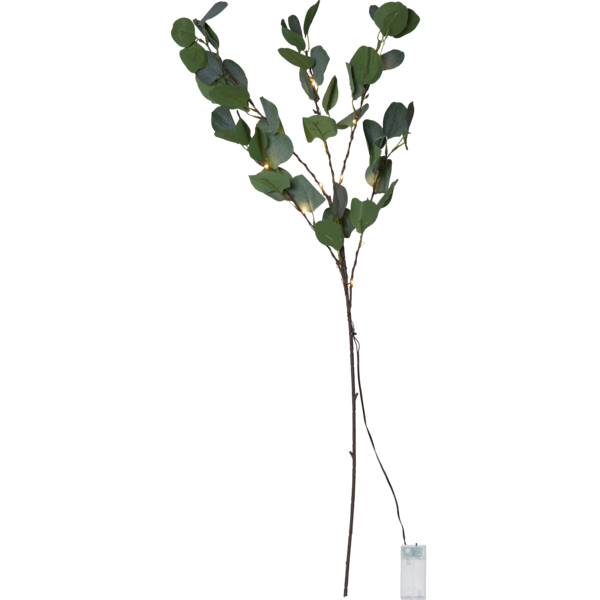 Eucalyptus LED dekorationskvist [Star Trading] 361407 - 1