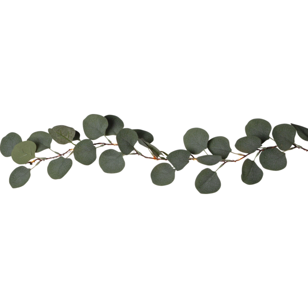 Girland Eucalyptus | 180cm [Star Trading] 361696 - 3