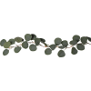 Girland Eucalyptus | 180cm [Star Trading] 361696 - 3