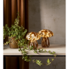 Glasdekoration Funghi | 13x13x15cm [Star Trading] 501575 - 2