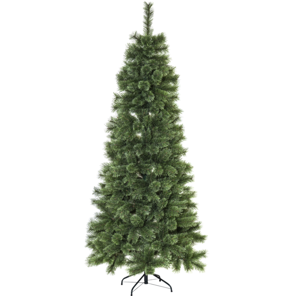 Julgran Cembrini | 210cm [Star Trading] 361718 - 1
