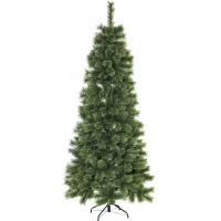 Julgran Cembrini | 210cm [Star Trading] 361718