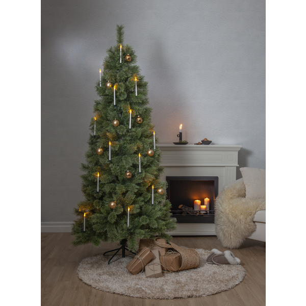Julgran Cembrini | 210cm [Star Trading] 361718 - 3