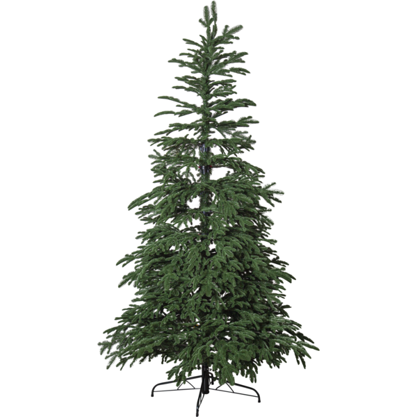 Julgran Edane | 210cm [Star Trading] 501913 - 1